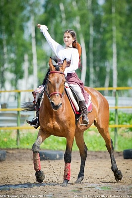 Обучение верховой езде в Саратове. Сервис Ultra Подарки. Купить обучение верховой езде в Саратове. Вы сможете попробовать курс по верховой езде и конные прогулки. Сервис UltraPodarki.ru 8 800 505 95 30. Обучение верховой езде, верховая езда в Саратове, верховая езда Саратов, конный спорт, уроки верховой езды, школа верховой езды, конные прогулки, верховая езда, школа верховой езды в Саратове, конные прогулки в Саратове, обучение верховой езде в Саратове, конный спорт в Саратове, уроки верховой езды в Саратове