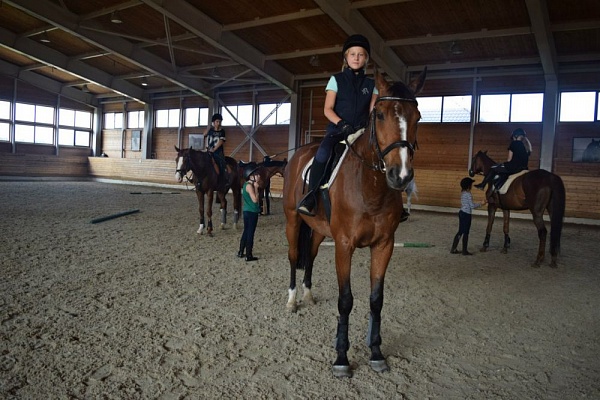 Обучение верховой езде в Саратове. Сервис Ultra Подарки. Купить обучение верховой езде в Саратове. Вы сможете попробовать курс по верховой езде и конные прогулки. Сервис UltraPodarki.ru 8 800 505 95 30. Обучение верховой езде, верховая езда в Саратове, верховая езда Саратов, конный спорт, уроки верховой езды, школа верховой езды, конные прогулки, верховая езда, школа верховой езды в Саратове, конные прогулки в Саратове, обучение верховой езде в Саратове, конный спорт в Саратове, уроки верховой езды в Саратове