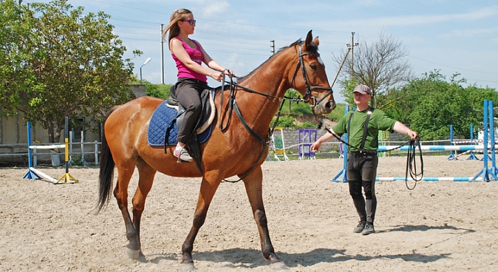 Обучение верховой езде в Саратове. Сервис Ultra Подарки. Купить обучение верховой езде в Саратове. Вы сможете попробовать курс по верховой езде и конные прогулки. Сервис UltraPodarki.ru 8 800 505 95 30. Обучение верховой езде, верховая езда в Саратове, верховая езда Саратов, конный спорт, уроки верховой езды, школа верховой езды, конные прогулки, верховая езда, школа верховой езды в Саратове, конные прогулки в Саратове, обучение верховой езде в Саратове, конный спорт в Саратове, уроки верховой езды в Саратове