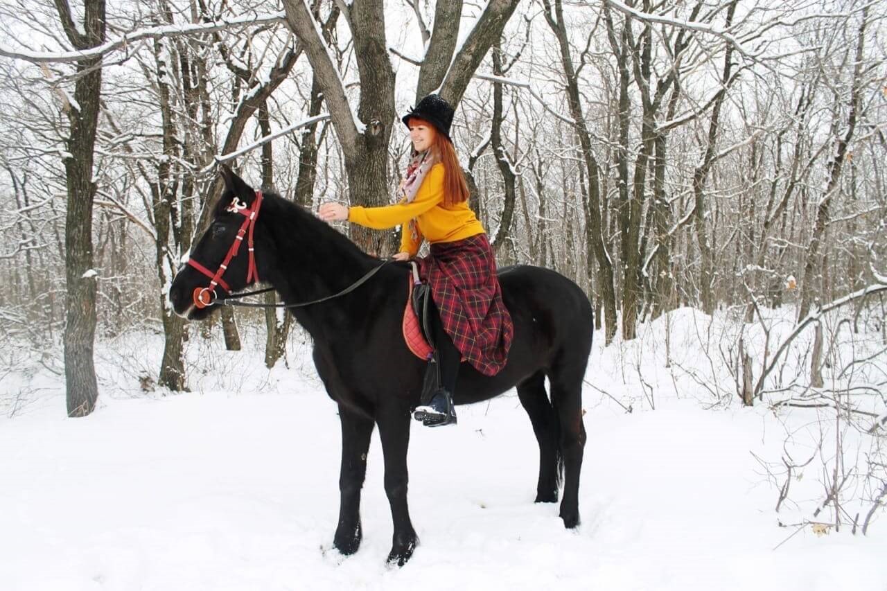 зимняя прогулка на лошади
