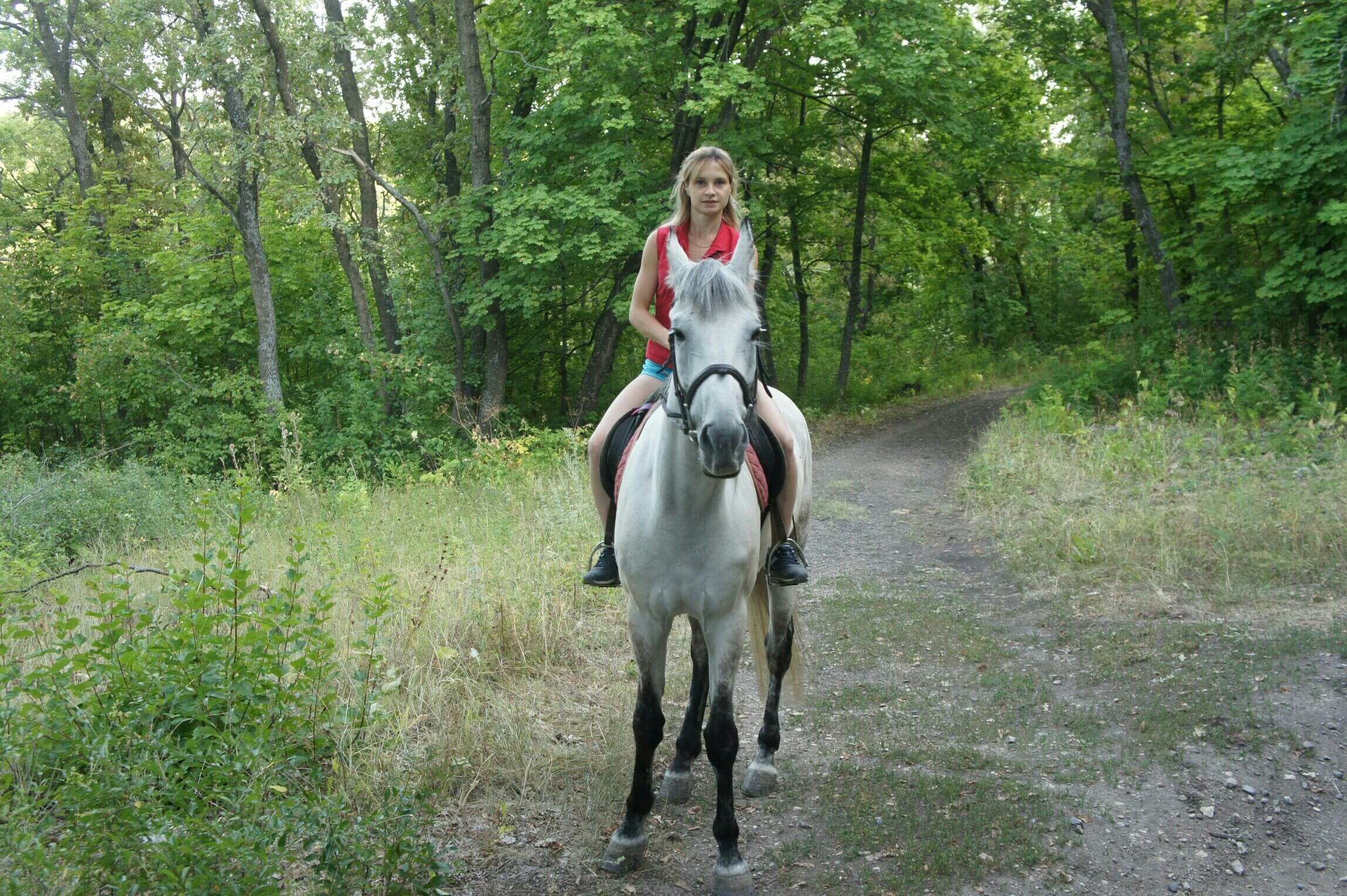 прогулка в лесу на белой лошади