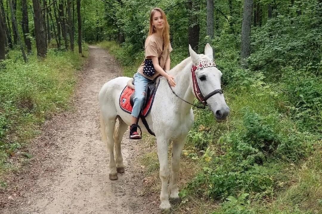 прогулка на лошади в лесу