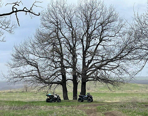 Катание на квадроциклах в Саратове. Подарочные сертификаты Ultra Подарки. Подарочный сертификат на катание на квадроциклах в Саратове. Закажите прокат квадроциклов и наслаждайтесь активным отдыхом с друзьями. Выбирайте живописные маршруты для езды на квадроциклах. Сервис UltraPodarki.ru 8 800 505 95 30. Катание на квадроциклах, катание на квадроциклах Саратов, прокат квадроциклов, прокат квадроциклов Саратов, езда на квадроцикле, езда на квадроцикле Саратов, катание на квадроциклах зимой, Катание на квадроциклах летом, сертификат на катание на квадроциклах, сертификат квадроциклы, сертификат квадроциклы Саратов

