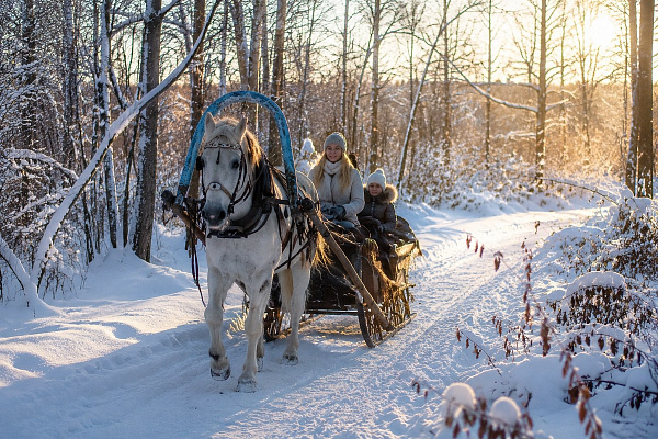 Конные прогулки в Саратове. Подарочные сертификаты Ultra Подарки. Купить оригинальный подарок или подарочный сертификат на Конные прогулки в Саратове. Сервис UltraPodarki.ru 8-800-505-9530. Катание на лошадях, Прогулка на лошади, Прогулка на лошадях для двоих, Конные прогулки, конный клуб, Конный клуб, конная прогулка, конная прогулка в Саратове