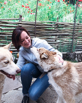 Катание на хаски в Саратове. Ultra Подарки. Катание на хаски в Саратове. Попробуйте Катание на хаски. Сервис: UltraPodarki.ru 8 800 505 95 30. Катание на хаски Саратов, Катание на хаски в Саратове, хаски, животные в Саратове, 