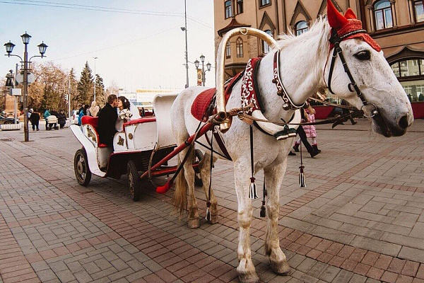 Конная прогулка для двоих в Саратове. Подарочные сертификаты Ultra Подарки. Купить оригинальный подарок или подарочный сертификат на Конная прогулка для двоих в Саратове. Сервис UltraPodarki.ru 8-800-505-9530. Катание на лошадях, Прогулка на лошади, Прогулка на лошадях для двоих, Конная прогулка для двоих, конный клуб, Конный клуб, конная прогулка, конная прогулка в Саратове