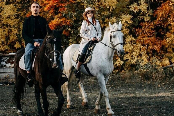 Конная прогулка для двоих в Саратове. Подарочные сертификаты Ultra Подарки. Купить оригинальный подарок или подарочный сертификат на Конная прогулка для двоих в Саратове. Сервис UltraPodarki.ru 8-800-505-9530. Катание на лошадях, Прогулка на лошади, Прогулка на лошадях для двоих, Конная прогулка для двоих, конный клуб, Конный клуб, конная прогулка, конная прогулка в Саратове