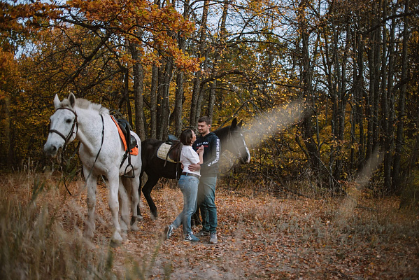 Конная прогулка для двоих в Саратове. Подарочные сертификаты Ultra Подарки. Купить оригинальный подарок или подарочный сертификат на Конная прогулка для двоих в Саратове. Сервис UltraPodarki.ru 8-800-505-9530. Катание на лошадях, Прогулка на лошади, Прогулка на лошадях для двоих, Конная прогулка для двоих, конный клуб, Конный клуб, конная прогулка, конная прогулка в Саратове