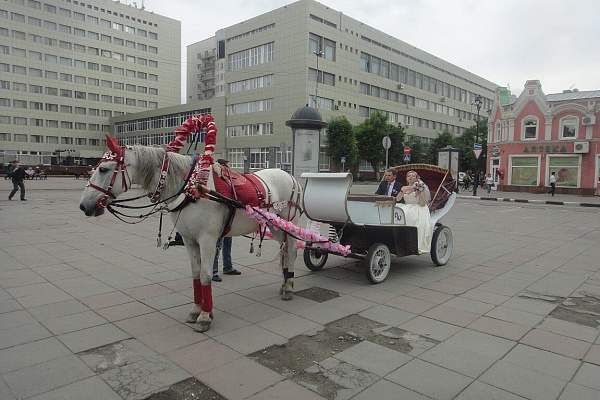 Конная прогулка для двоих в Саратове. Подарочные сертификаты Ultra Подарки. Купить оригинальный подарок или подарочный сертификат на Конная прогулка для двоих в Саратове. Сервис UltraPodarki.ru 8-800-505-9530. Катание на лошадях, Прогулка на лошади, Прогулка на лошадях для двоих, Конная прогулка для двоих, конный клуб, Конный клуб, конная прогулка, конная прогулка в Саратове