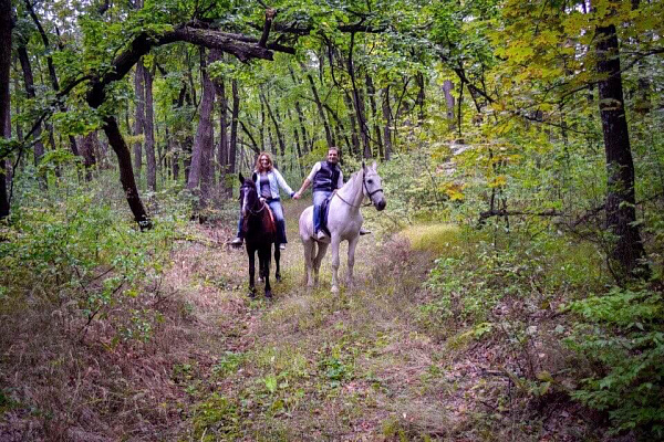 Конная прогулка для двоих в Саратове. Подарочные сертификаты Ultra Подарки. Купить оригинальный подарок или подарочный сертификат на Конная прогулка для двоих в Саратове. Сервис UltraPodarki.ru 8-800-505-9530. Катание на лошадях, Прогулка на лошади, Прогулка на лошадях для двоих, Конная прогулка для двоих, конный клуб, Конный клуб, конная прогулка, конная прогулка в Саратове